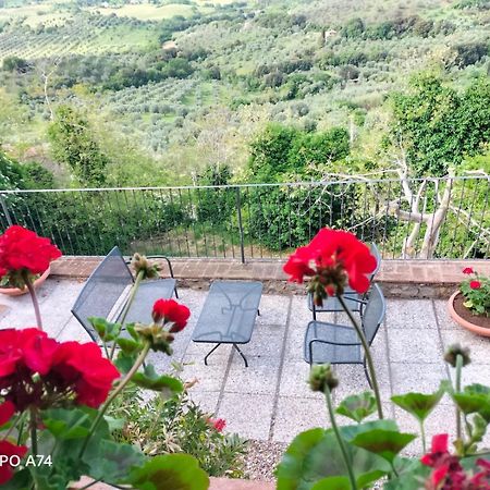 Tenuta Di Montemassi Fattoria Dış mekan fotoğraf