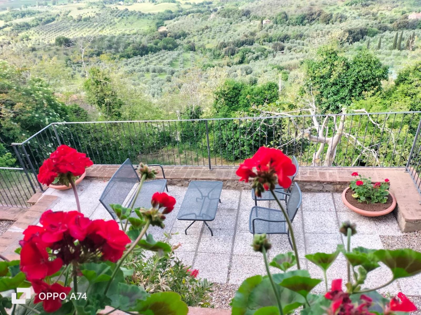 Tenuta Di Montemassi Fattoria Dış mekan fotoğraf